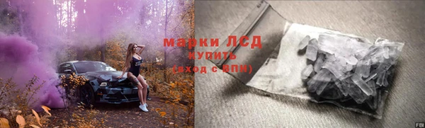 стаф Алзамай