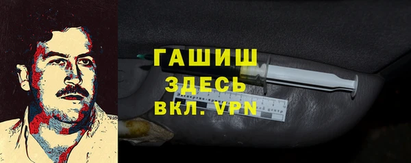 стаф Алзамай