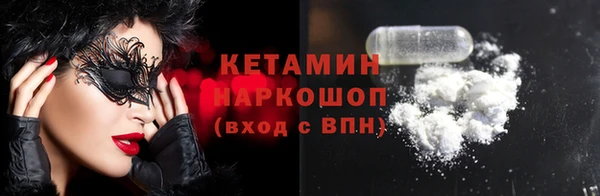 стаф Алзамай