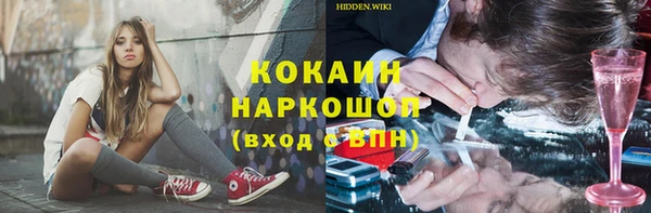 твердый Алексин